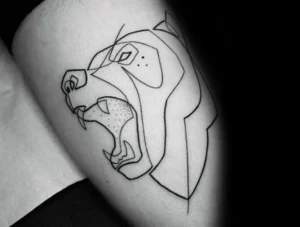22. Outline